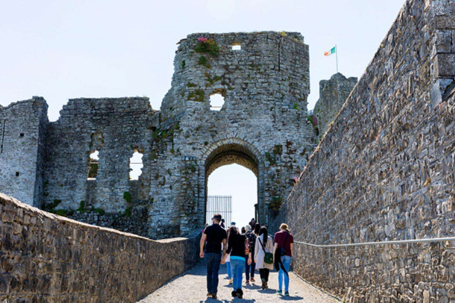Celtic Boyne Valley Day Tour - Imagen 4