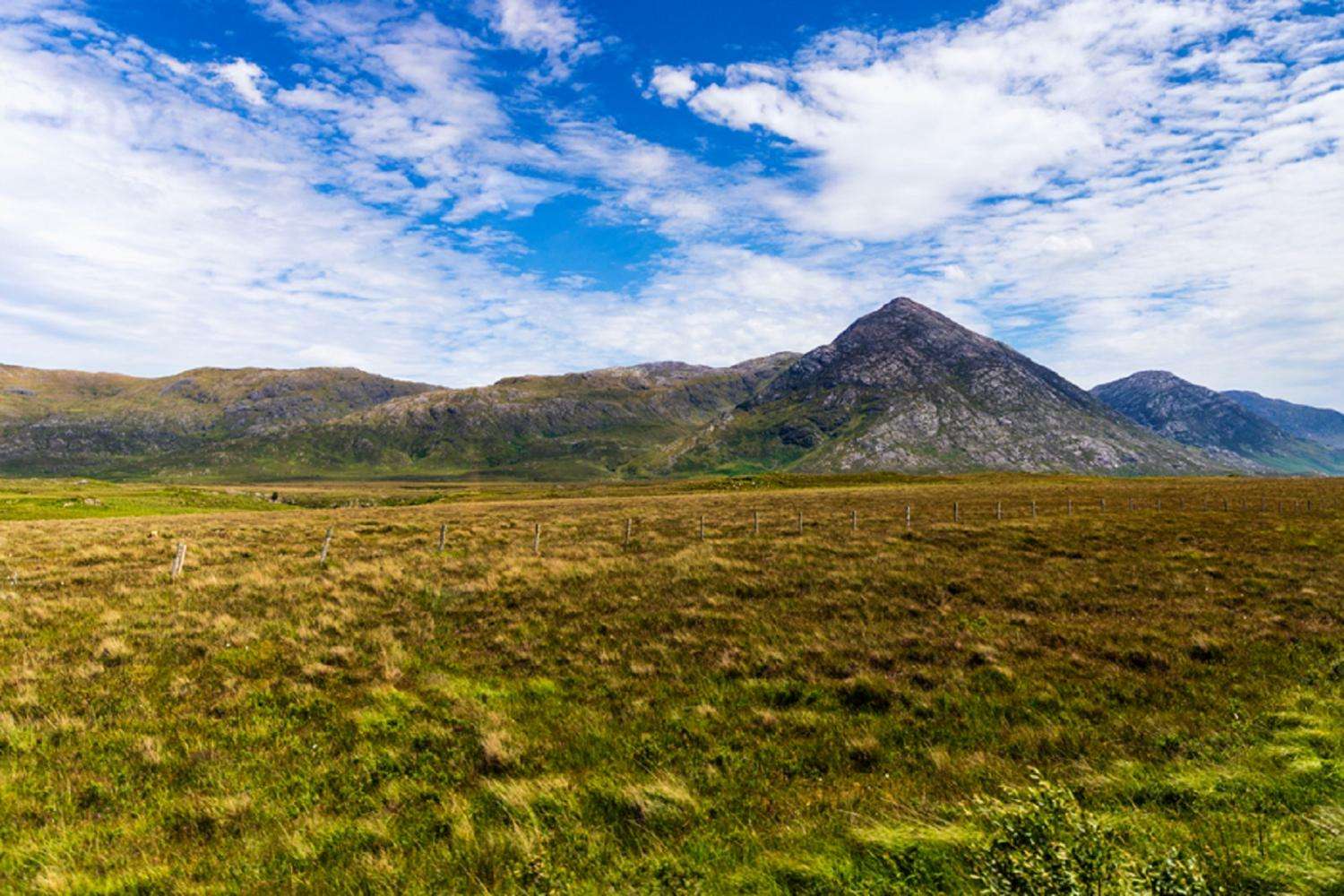 Desde Dublín: Excursión de un día a Connemara con paseo en barco por el fiordo de Killary y Galway - Imagen 3