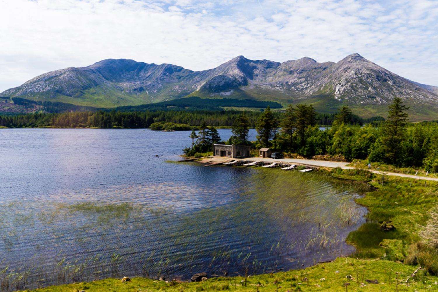 Desde Dublín: Excursión de un día a Connemara con paseo en barco por el fiordo de Killary y Galway - Imagen 4