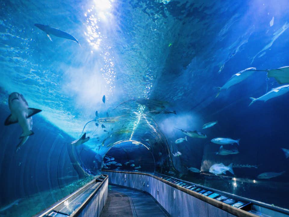 Pase para atracciones All-Inclusive en San Francisco - Go City - Imagen 2