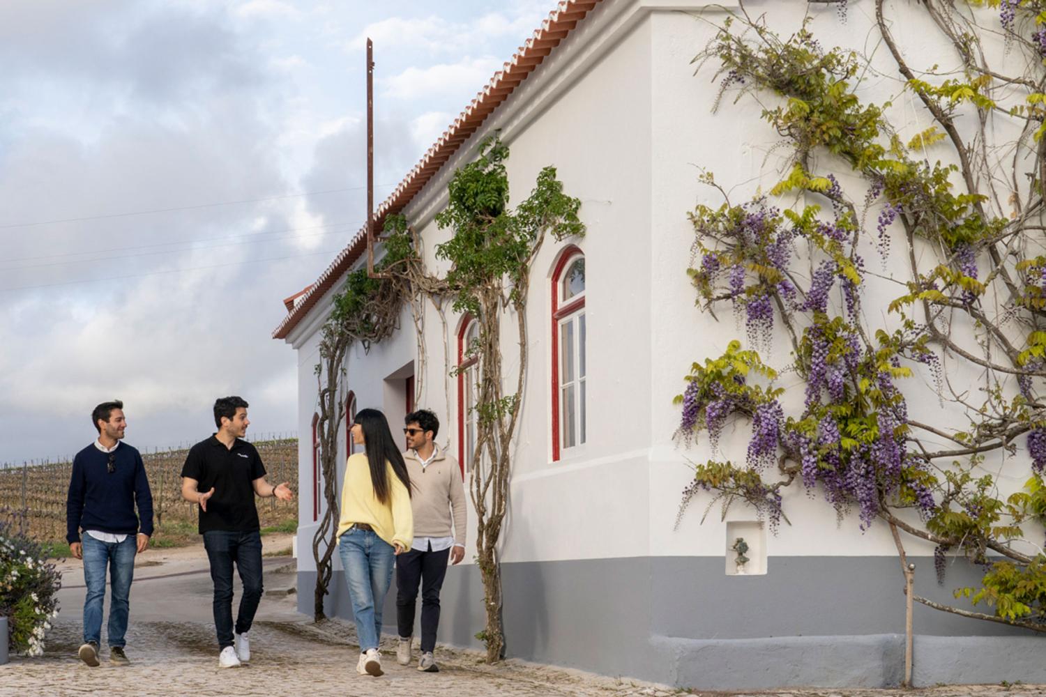 Sintra con Palacio da Pena y bodega - Imagen 4