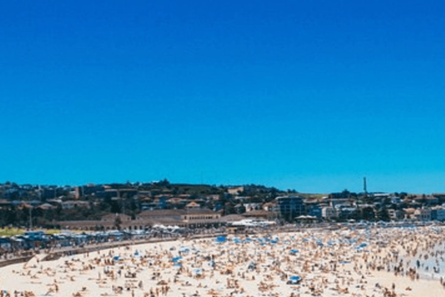 Tour por la ciudad, el puerto y la playa de Bondi de Sídney - Imagen 2
