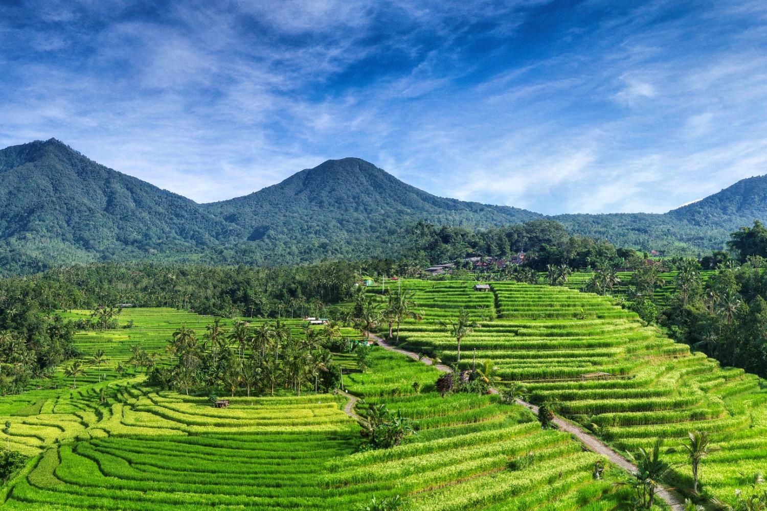 Hidden Ubud by Mountain Bike - Imagen 4