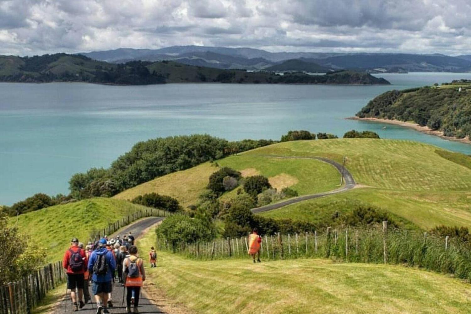 Tours exclusivos a la isla Waiheke - Día estándar - grupo semi-privado - Imagen 4