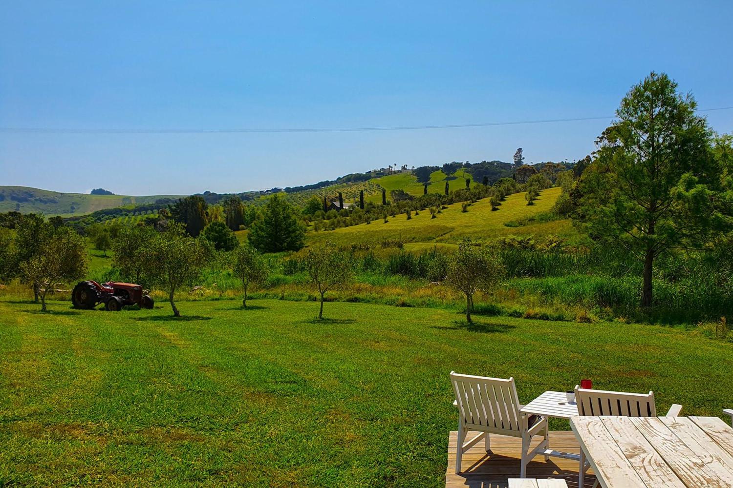 Waiheke Island - The Gourmet Food and Wine - Imagen 3