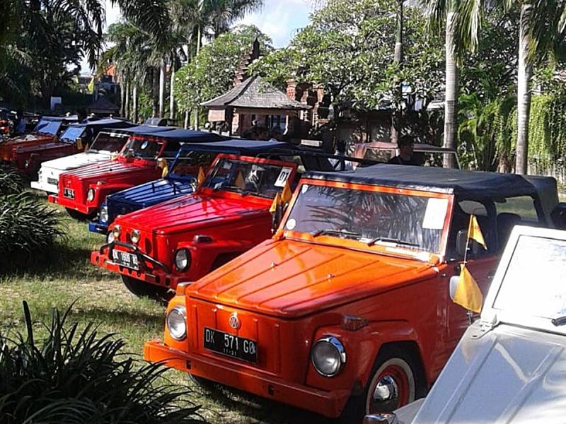 Safari rural en VW vintage - Imagen 3