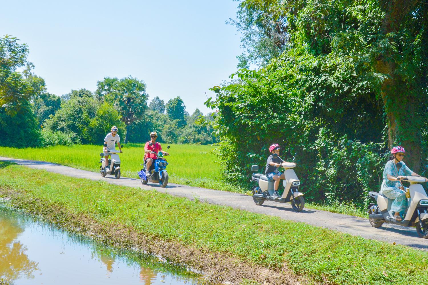 Excursión en bicicleta eléctrica por el campo - Imagen 2