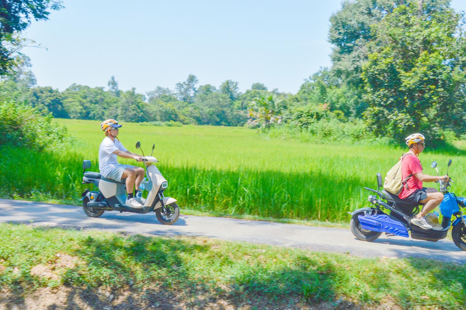Excursión en bicicleta eléctrica por el campo - Imagen 3