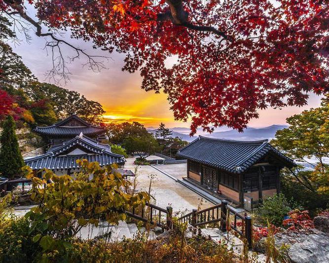 Recorrido de día completo por los lugares destacados de Seúl: Gyeongbokgung, Torre N' Seoul y pueblo Namsangol - Imagen 4