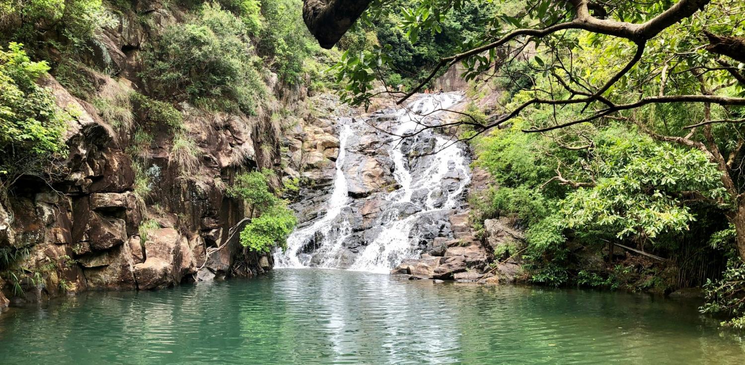 Excursión de día completo a la isla de Lantau - Gran Buda, teleférico y Tai O (Privada) - Imagen 4