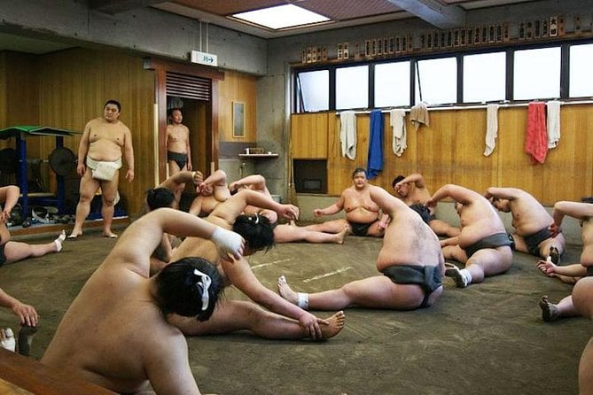 Assista ao treino matinal em um estábulo de sumô (tour para grupos pequenos) - Imagen 2