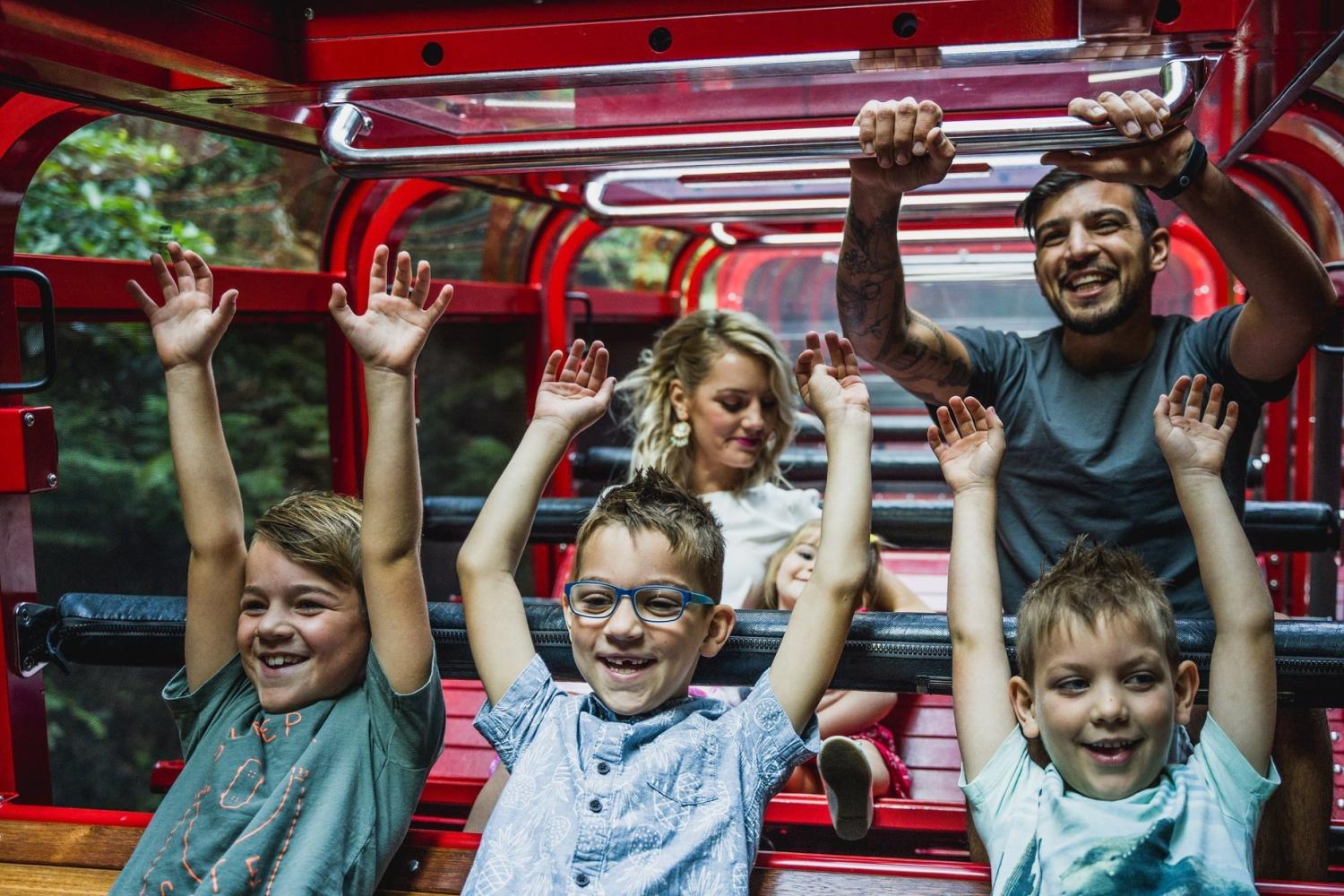 Pase Ultimate Discovery de Scenic World Blue Mountain - Imagen 2