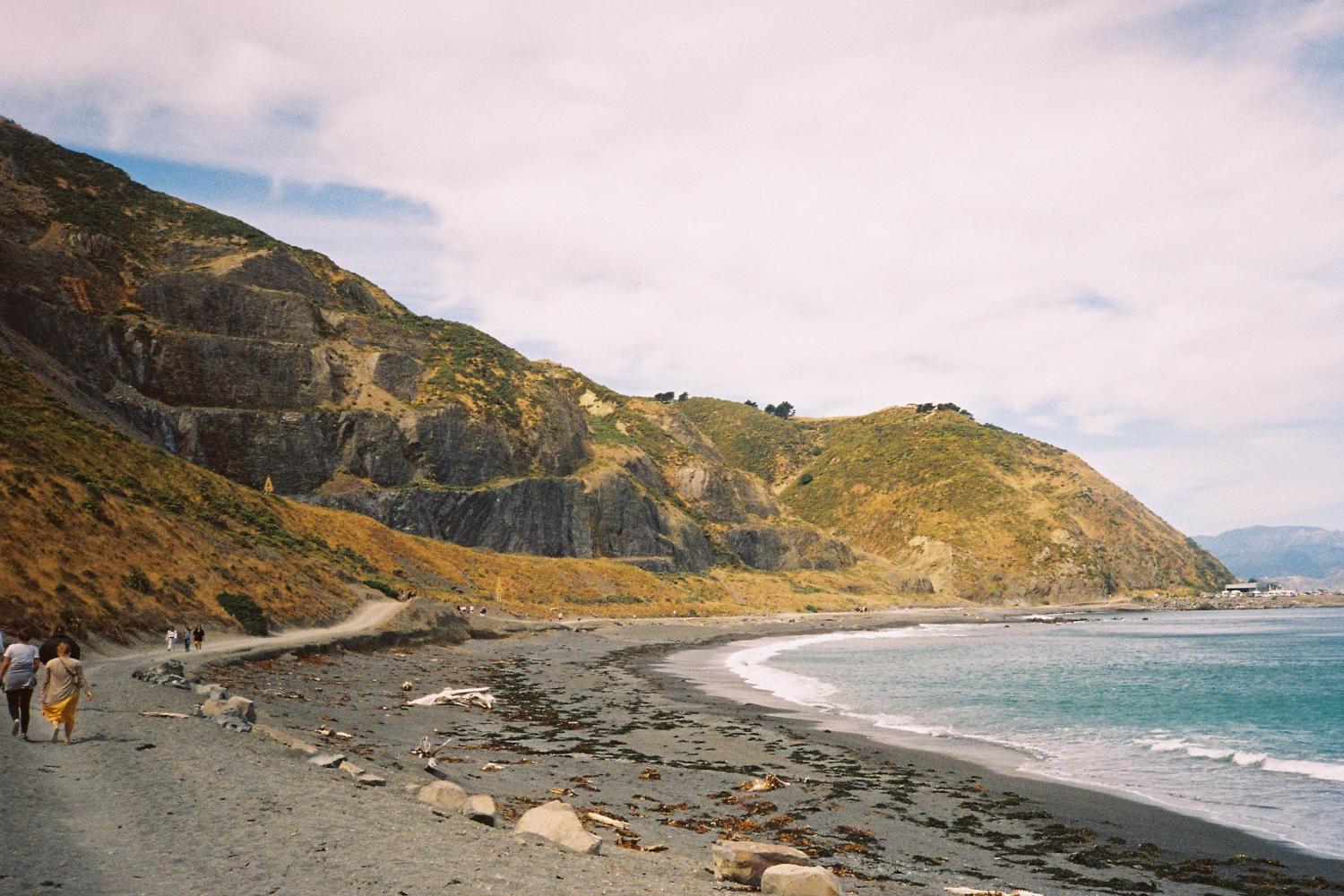 Half Day Tour of Wellington - Imagen 2