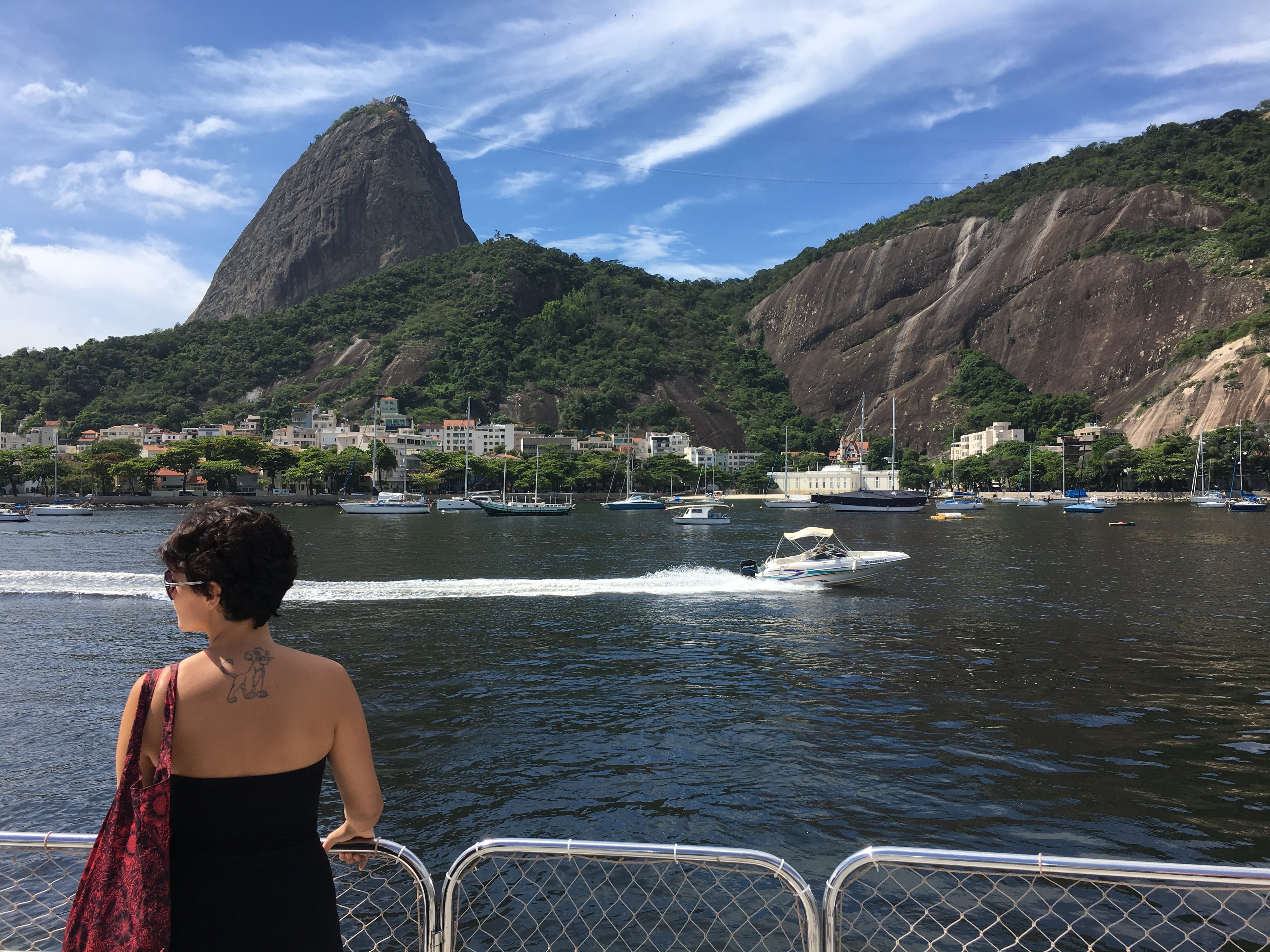 Círculo Completo de Río - Bahía de Guanabara, Almuerzo Barbacoa, Cristo Redentor, Escaleras de Selarón y Pan de Azúcar - Imagen 3