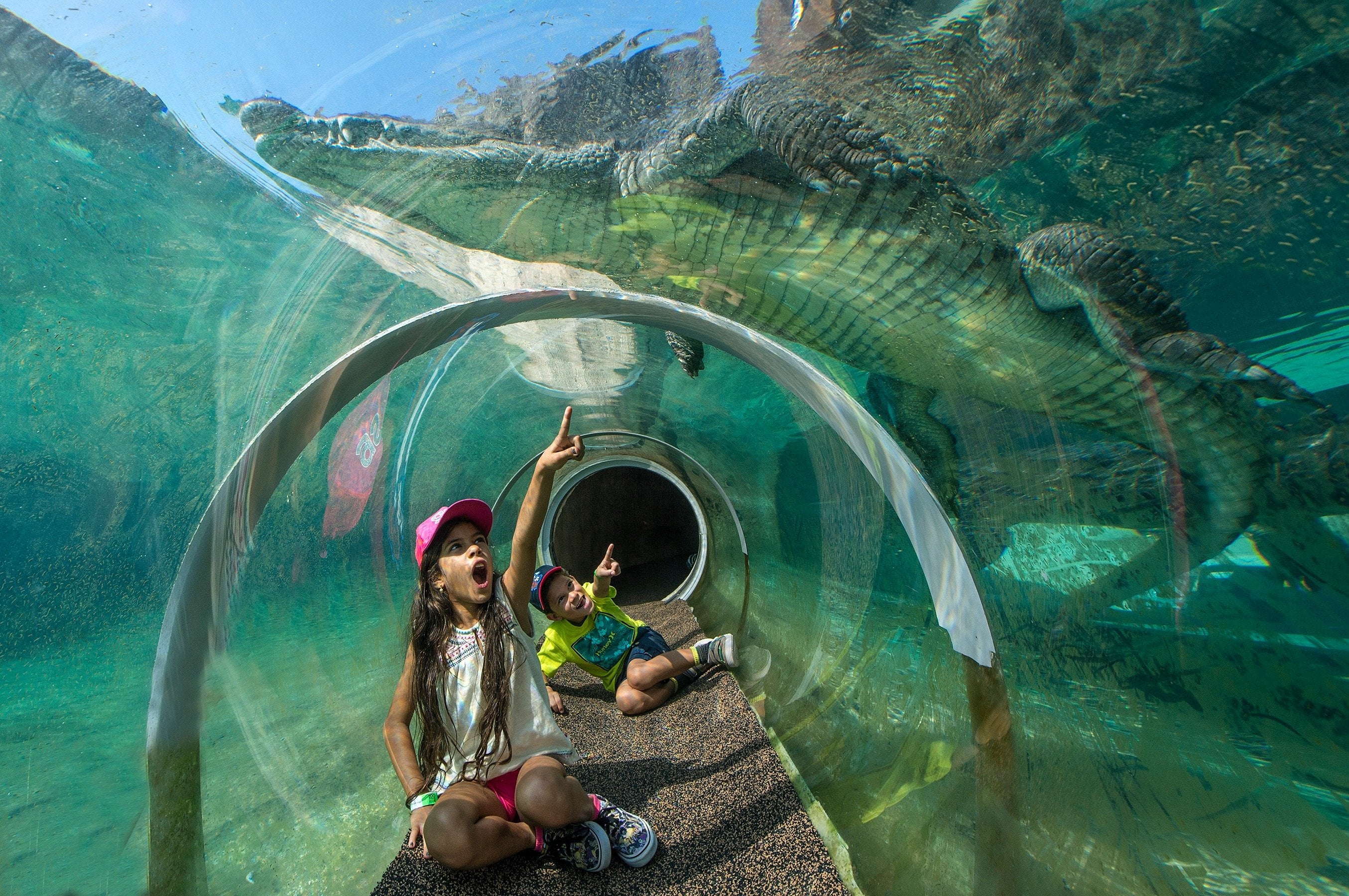 Miami Go City Explorer Pass - El mejor pase de atracciones de Miami - Imagen 3