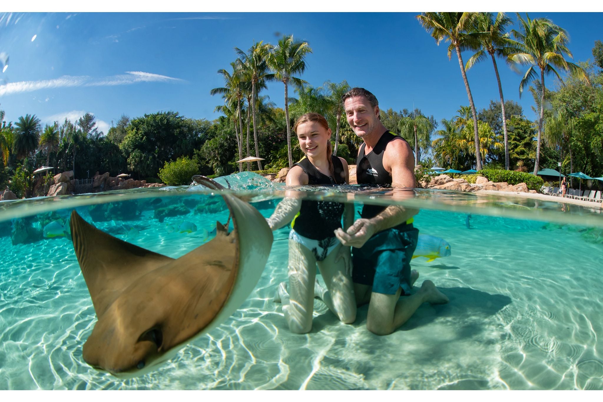 Discovery Cove Orlando más 2 parques - Imagen 2
