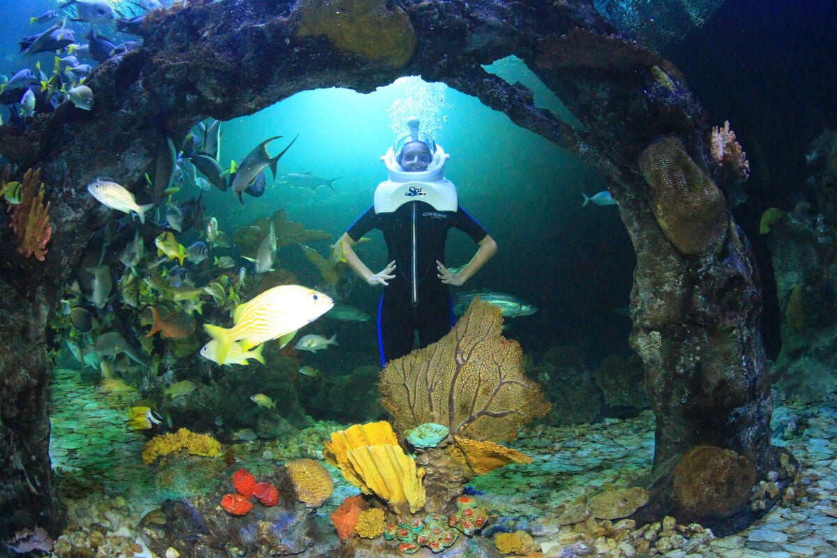 Go City Cancún All Inclusive Pass - Imagen 3