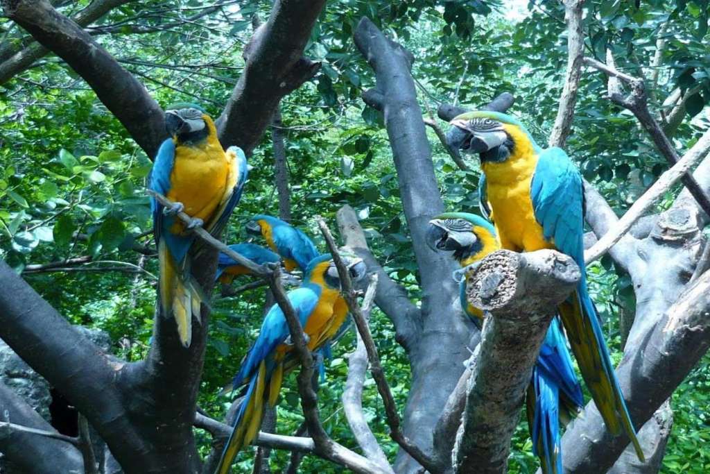 Tour no Parque Histórico - Imagen 4