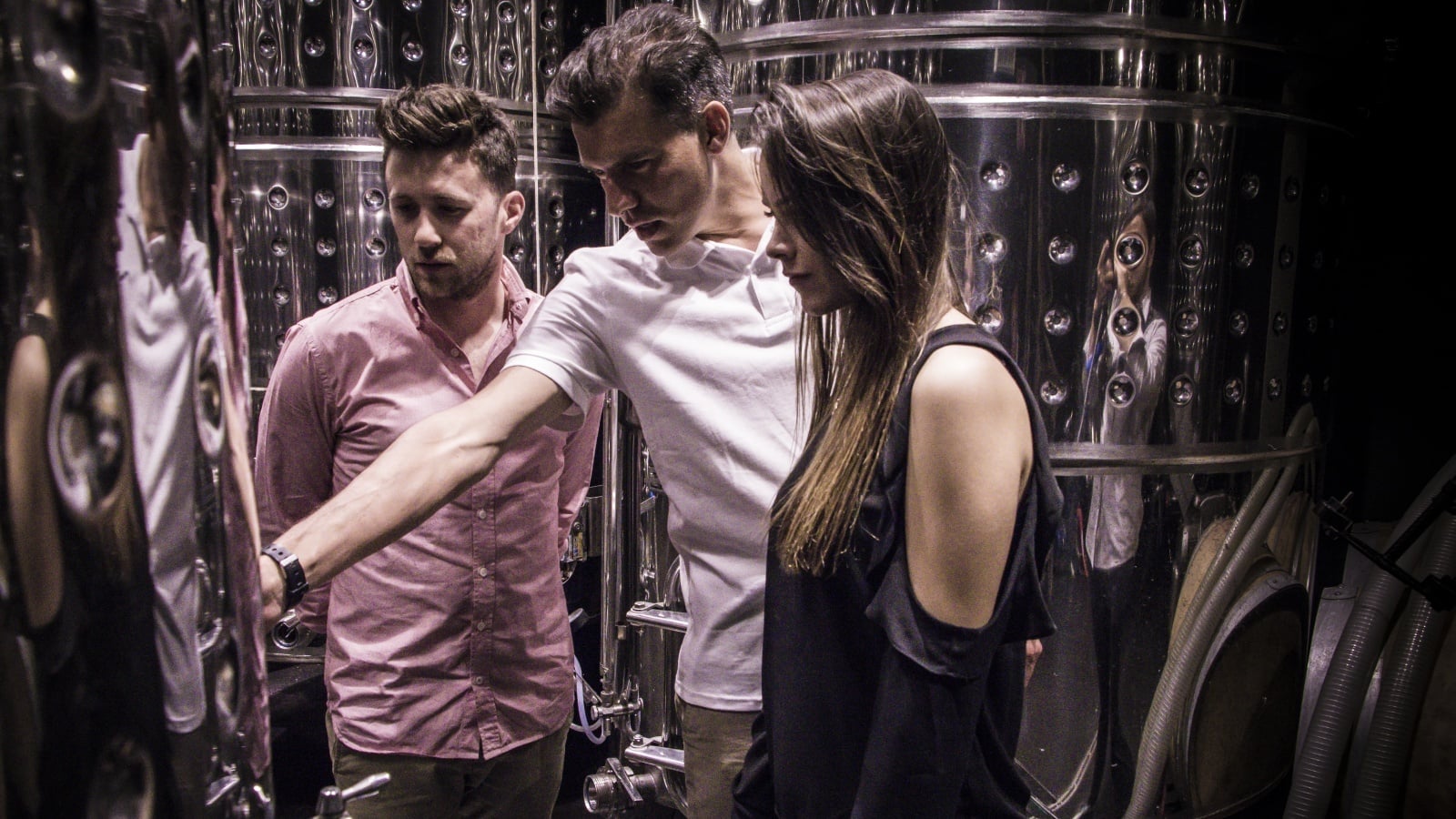 Visita a la ciudad de Toledo y Experiencia en una prestigiosa bodega con cata de vinos - Imagen 4