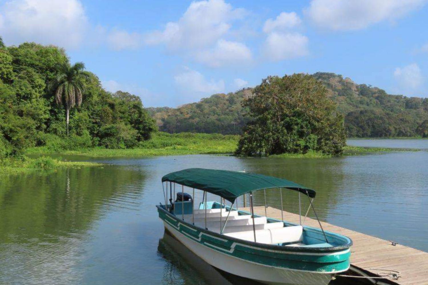 Aventura Natural en la Isla de los Monos y el Lago Gatún - Imagen 4