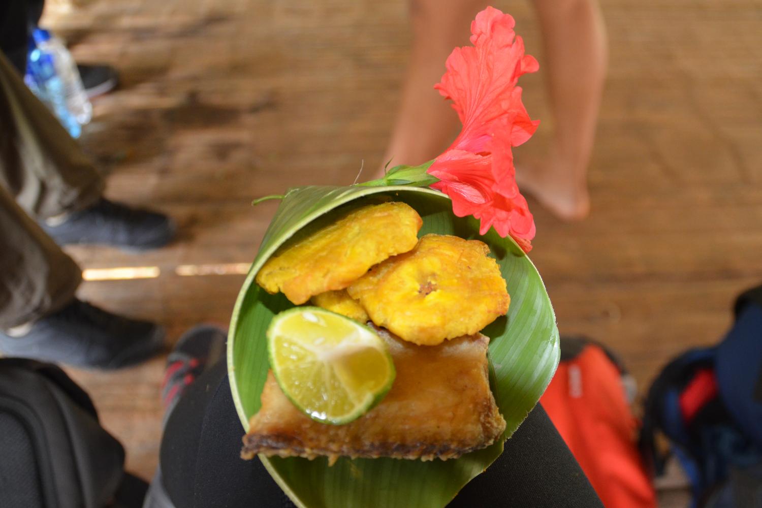 Descubre la cultura Emberá con un recorrido en canoa, cascadas y experiencias tradicionales - Imagen 4