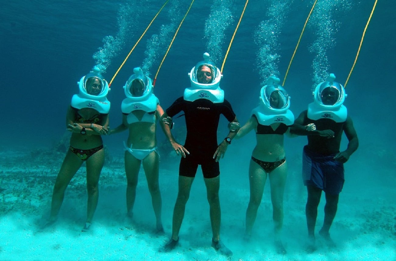 Acuario divertido desde Punta Cana - Imagen 2