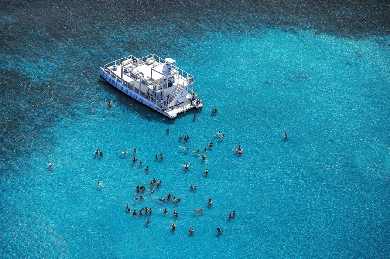 Acuario divertido desde Punta Cana - Imagen 3