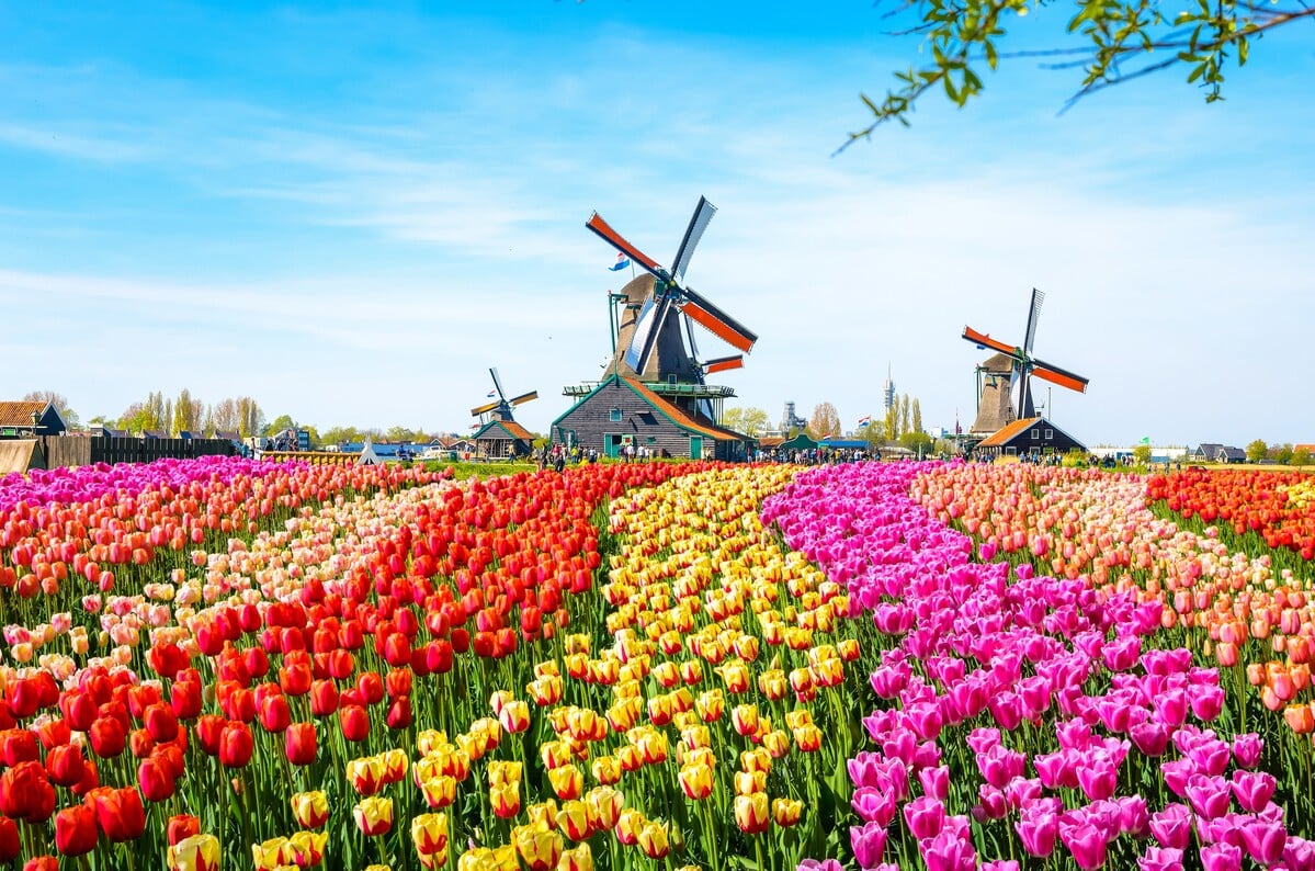 Pase de atracciones All-Inclusive en Amsterdam - Go City - Imagen 4