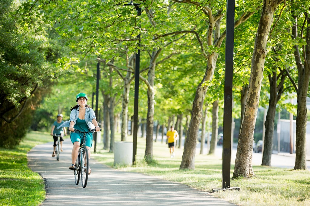Alquiler de bicicletas en Central Park - Imagen 2