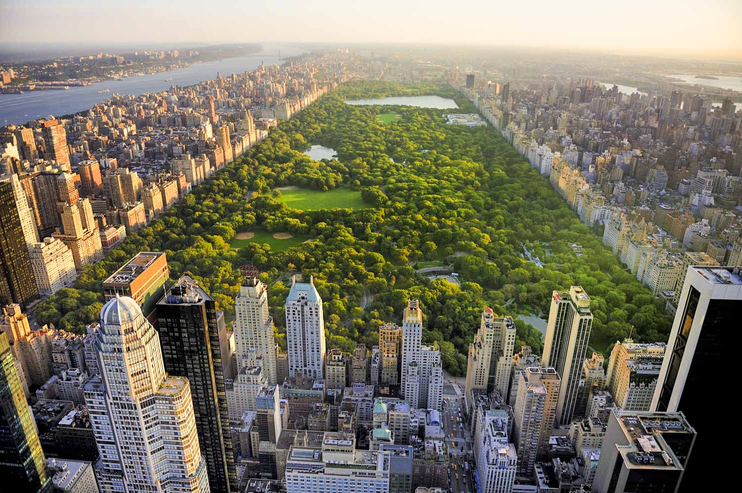 Alquiler de bicicletas electricas en Central Park - Imagen 2