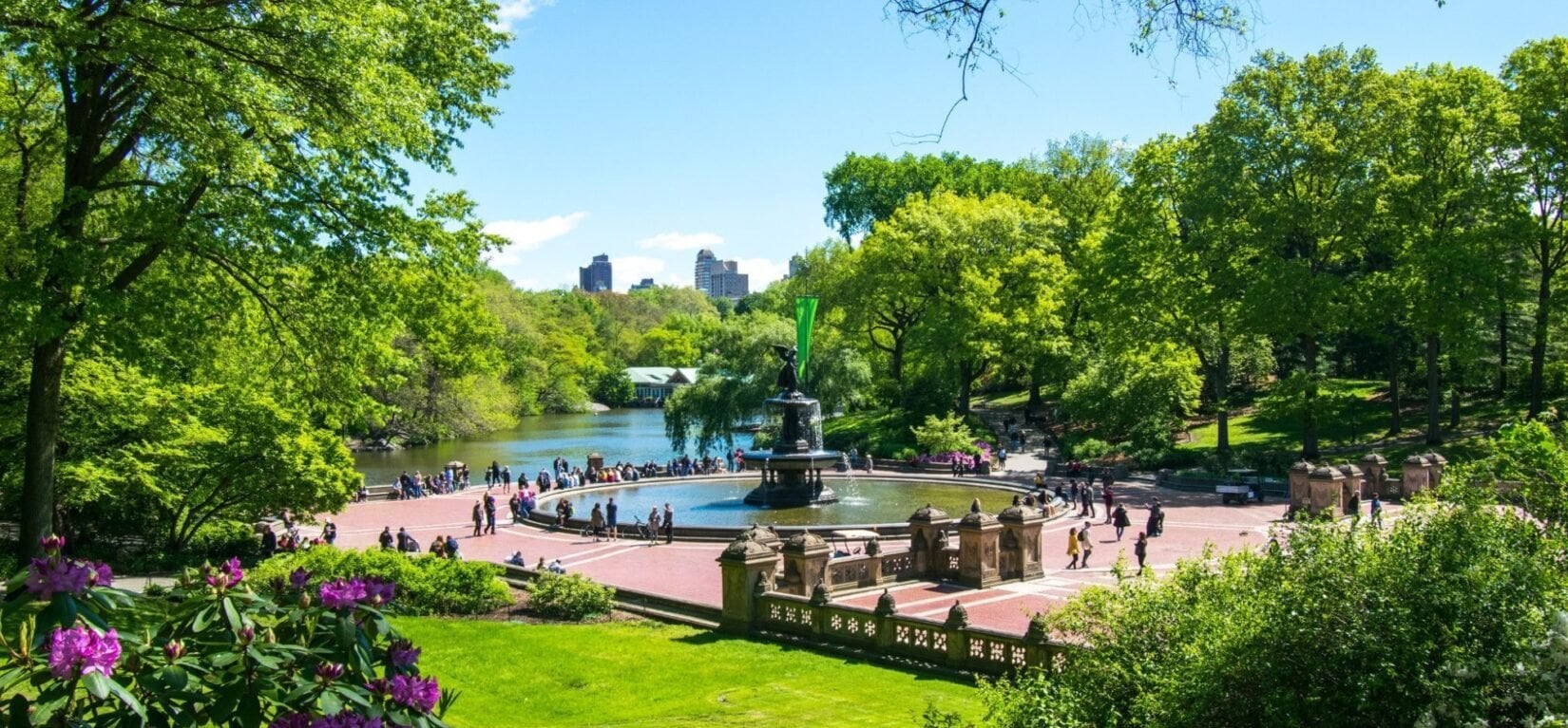 Alquiler de bicicletas electricas en Central Park - Imagen 4