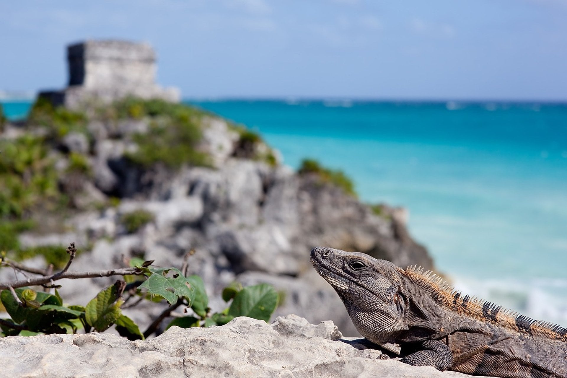 4x1: Tulum, Coba, Cenote, Playa del Carmen - Imagen 2