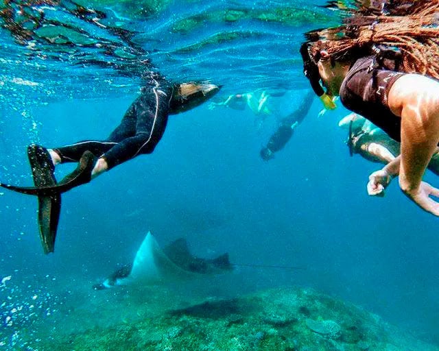 Snorkeling Experience with Manta Rays at Nusa Penida - Imagen 4