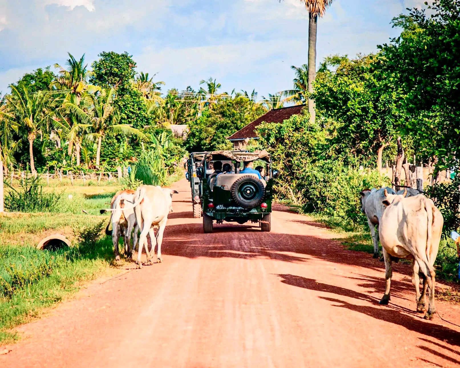 Countryside Jeep Tour - Imagen 3