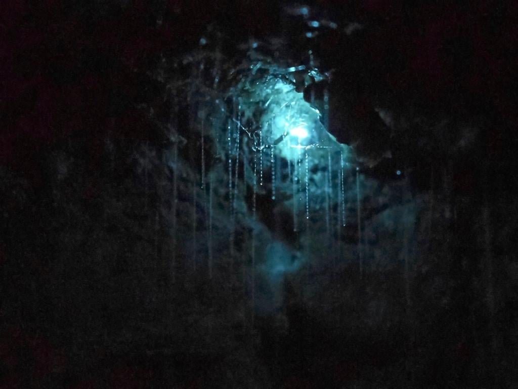 Natural Bridge Glow Worm Night Tour - Imagen 4