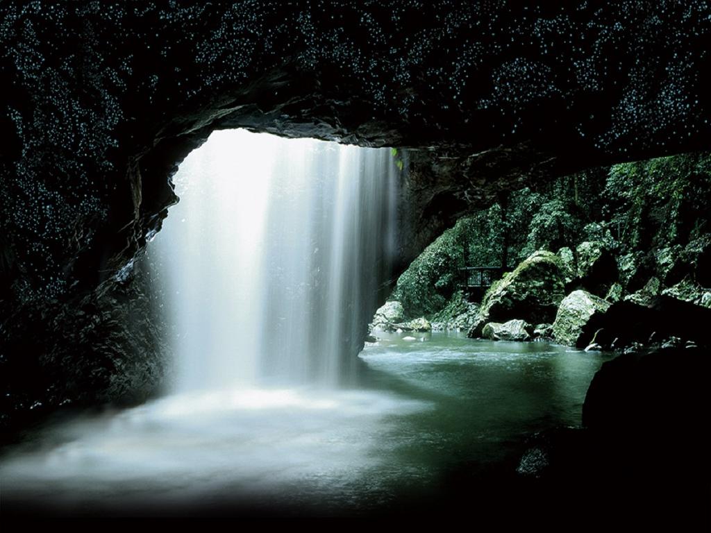Natural Bridge Glow Worm Night Tour - Imagen 2