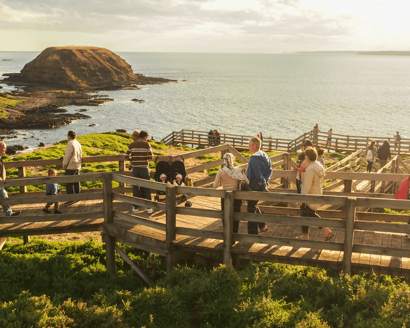Santuario de Healesville y excursión ecológica por Phillip Island - Imagen 3