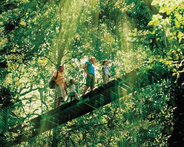 O Reillys y el Parque Nacional de Lamington - Imagen 3