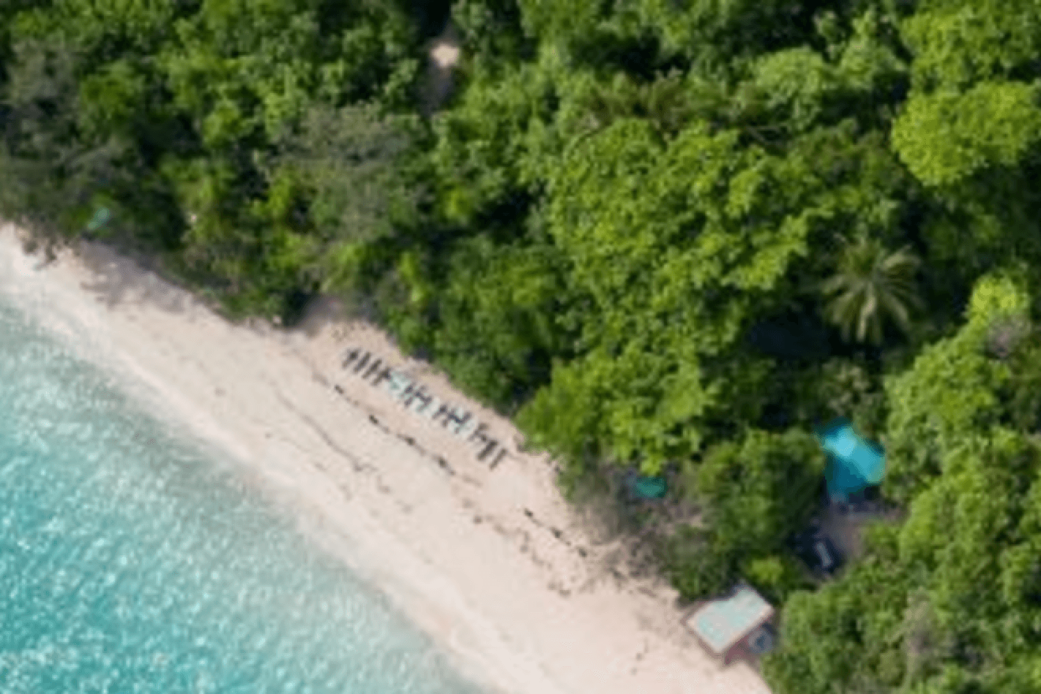 Descoberta da Ilha Verde com Grandes Aventuras - ex Cairns - Imagen 2