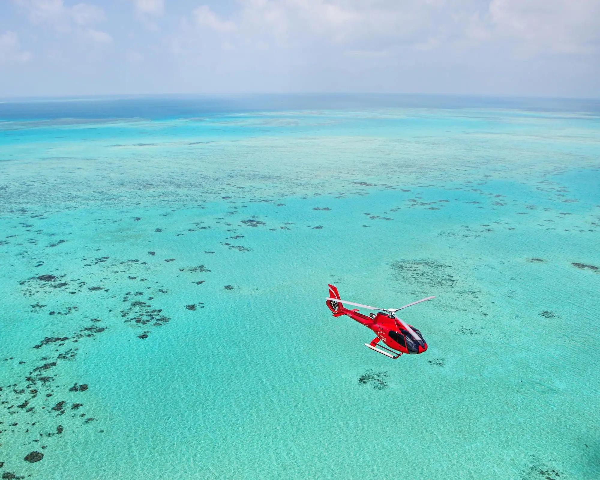 Voo panorâmico de 30 minutos - Grande Barreira de Coral - Imagen 2