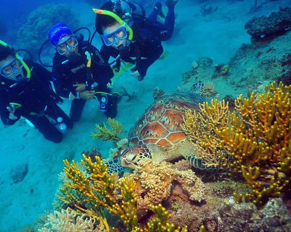 Ecoaventura Green Island con Great Adventures - desde Cairns - Imagen 4