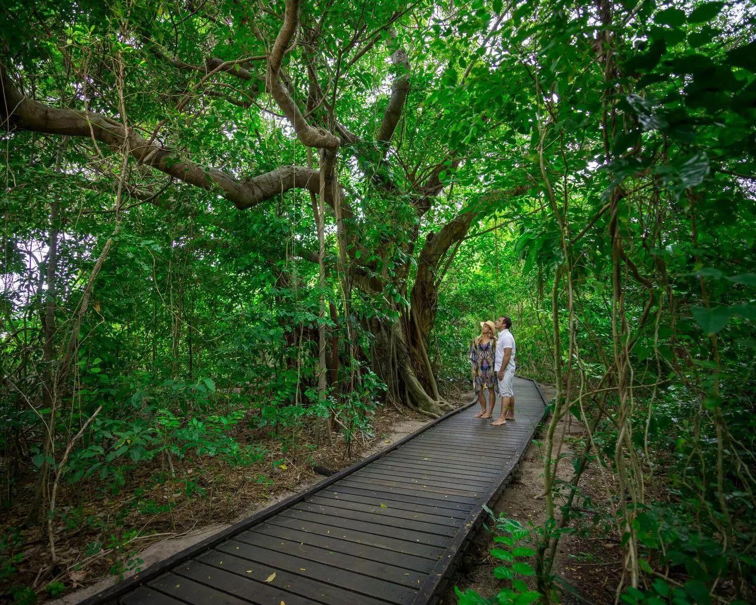 Ecoaventura Green Island con Great Adventures - desde Cairns - Imagen 3