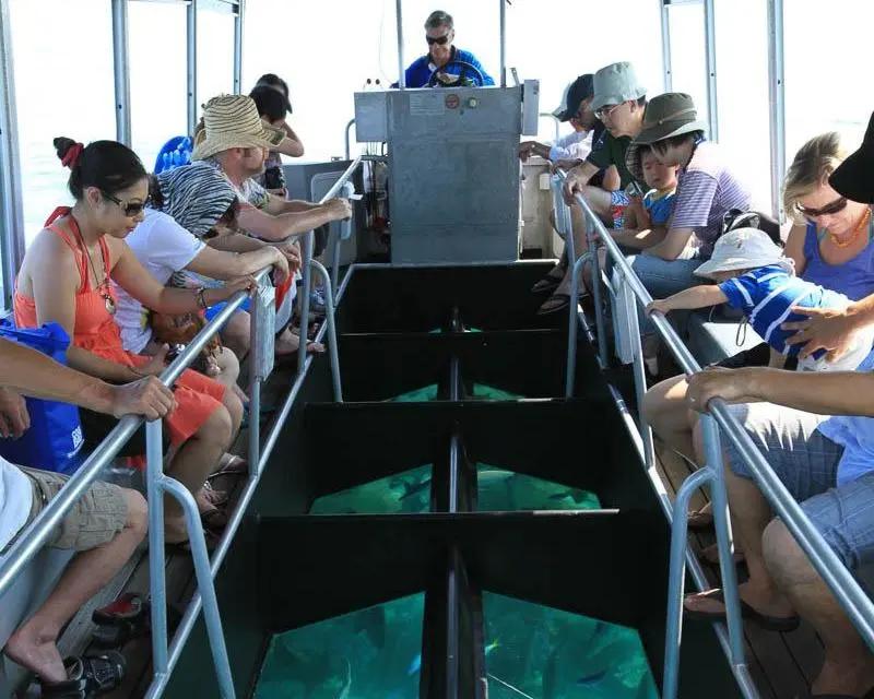 Ecoaventura Green Island con Great Adventures - desde Cairns - Imagen 2