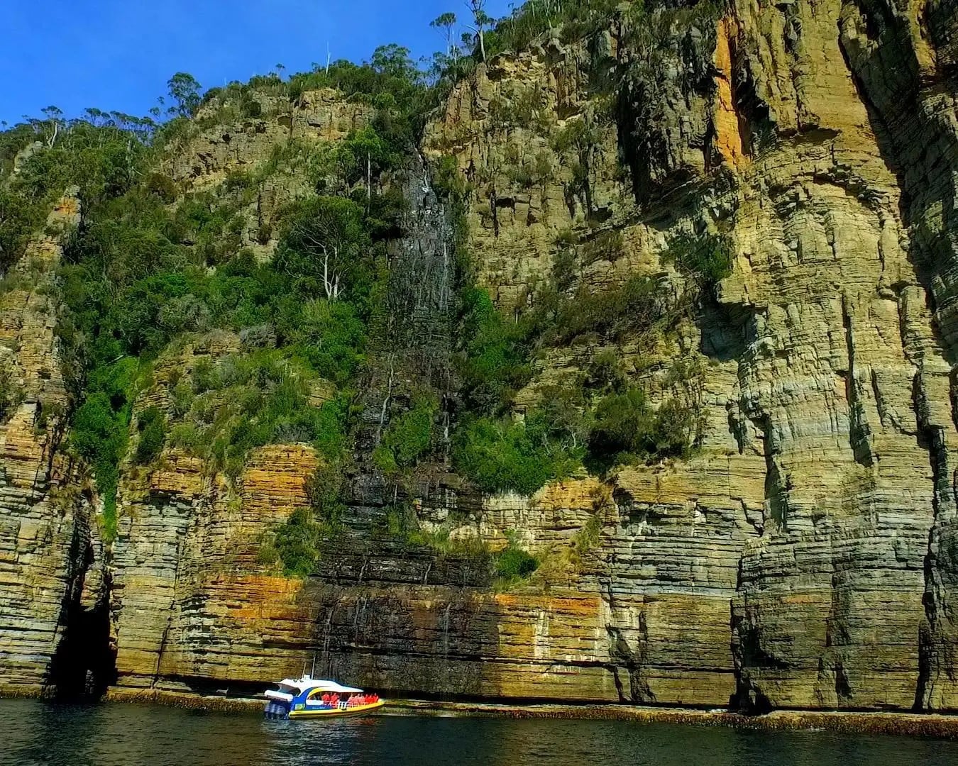 Tasman Island Cruises - Crucero de 3 horas por la naturaleza salvaje - Imagen 4
