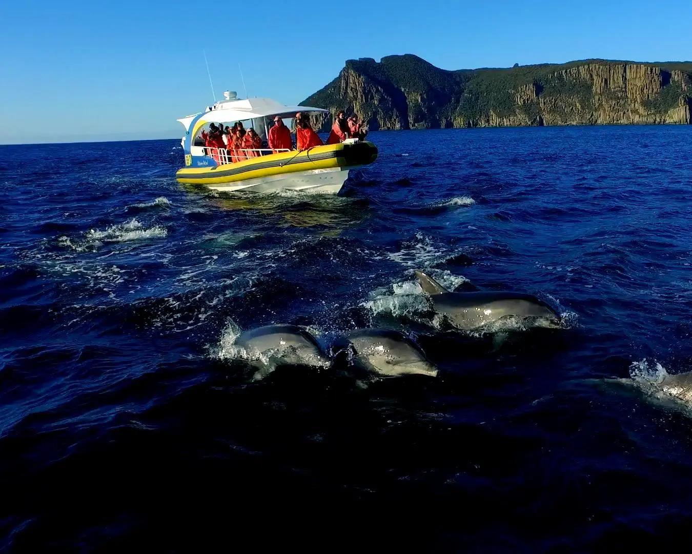 Crucero por la isla de Tasmania - Excursión de un día desde Hobart - Imagen 2
