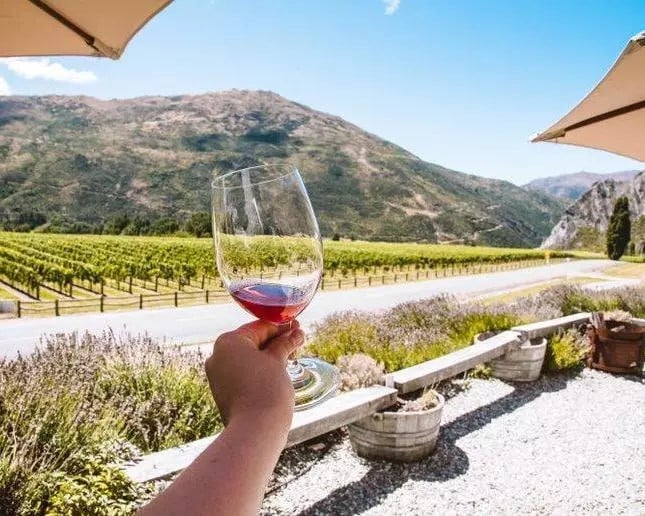 Tour de medio día de degustación de vinos - Imagen 3