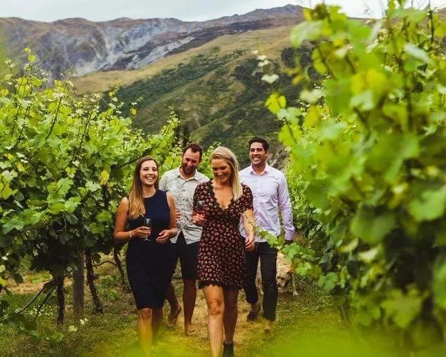 Tour de medio día de degustación de vinos - Imagen 2