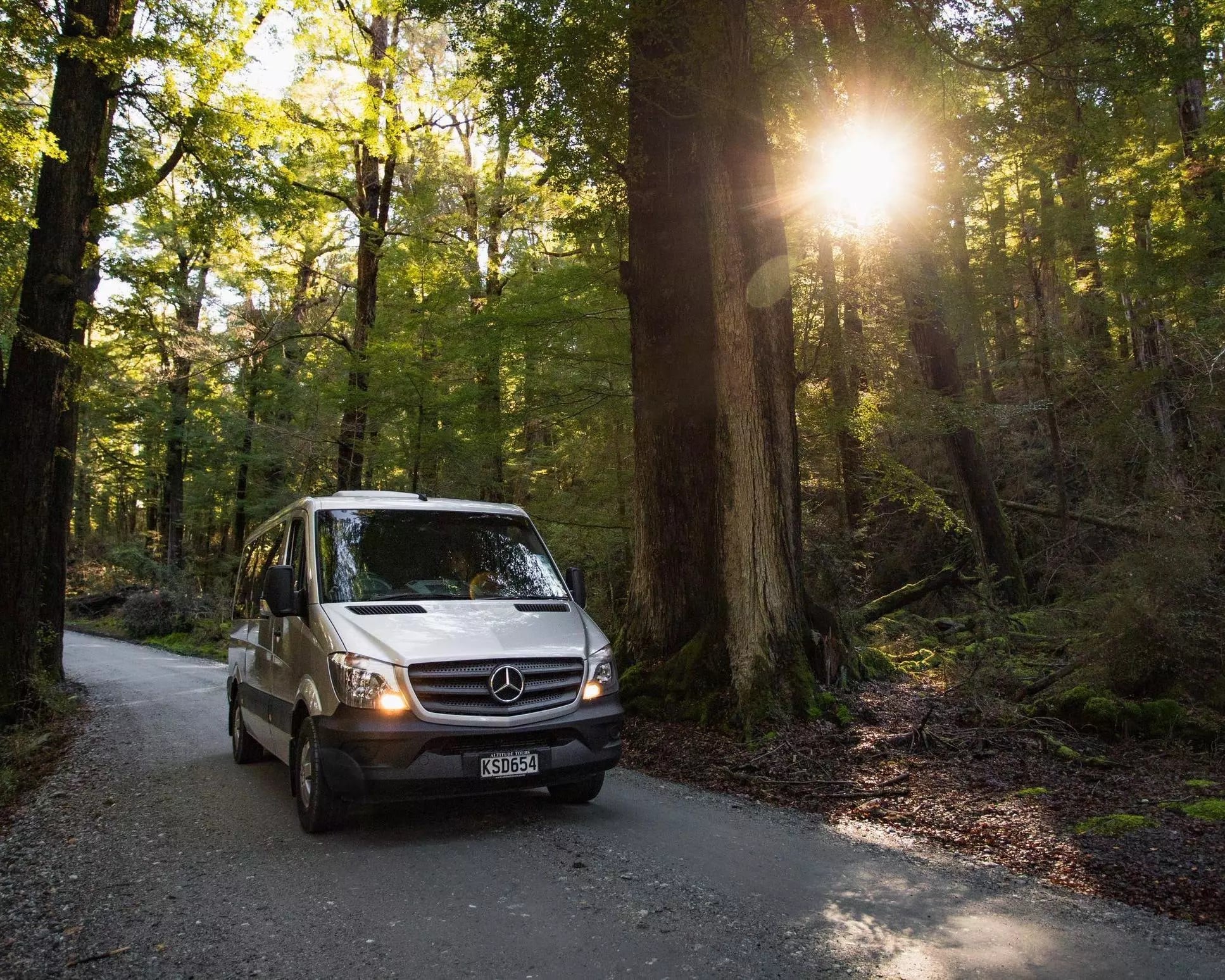 Glenorchy and Paradise Explorer - Half day tour - Imagen 2