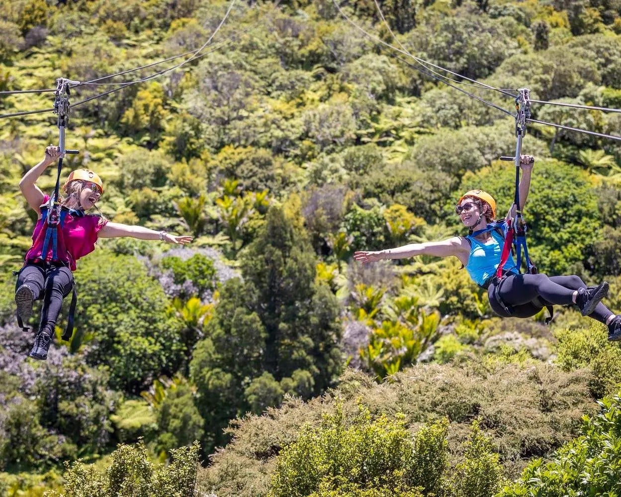 Isla Waiheke: medio día panorámico, vino, almuerzo y tirolesa - Imagen 4