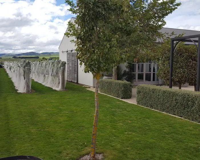 Excursión de medio día a los amantes de la comida de Martinborough - Imagen 4